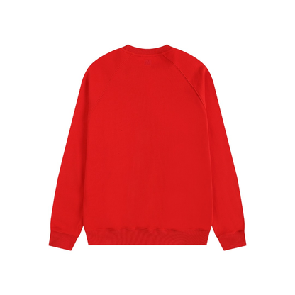 AMI PARIS cotton hoodie