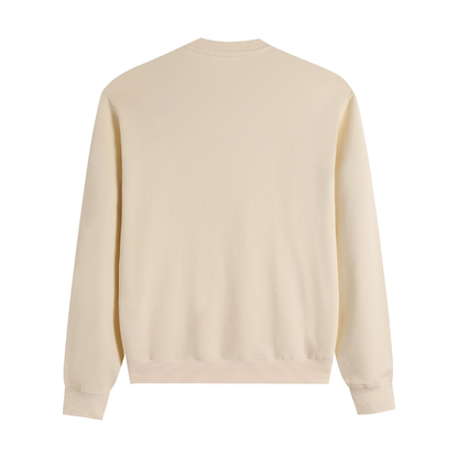 AMI PARIS cotton hoodie